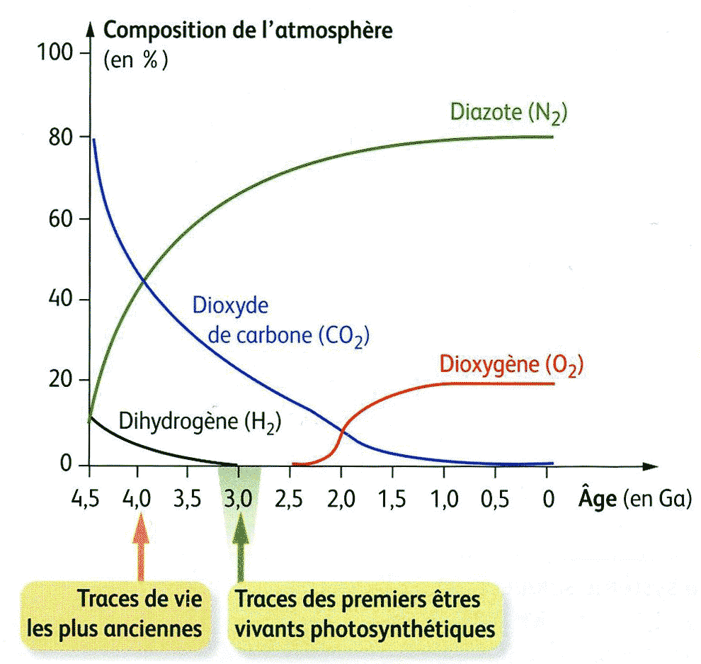 L atmosphère Primitive Et Son évolution Spé Svt Corrigé L'atmosphère primitive terrestre s'est formée par... - [Culture Générale] -  QCM n° 184